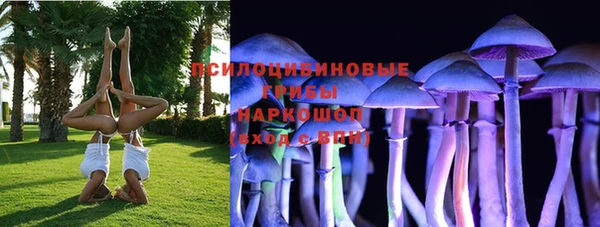каннабис Алзамай
