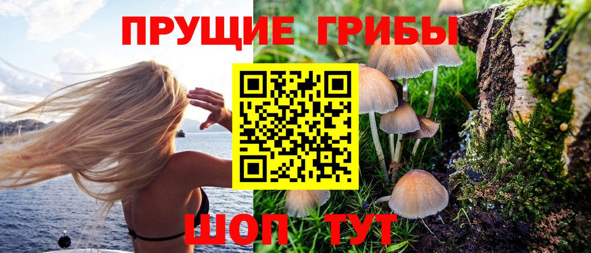 Псилоцибиновые грибы ЛСД Ипатово