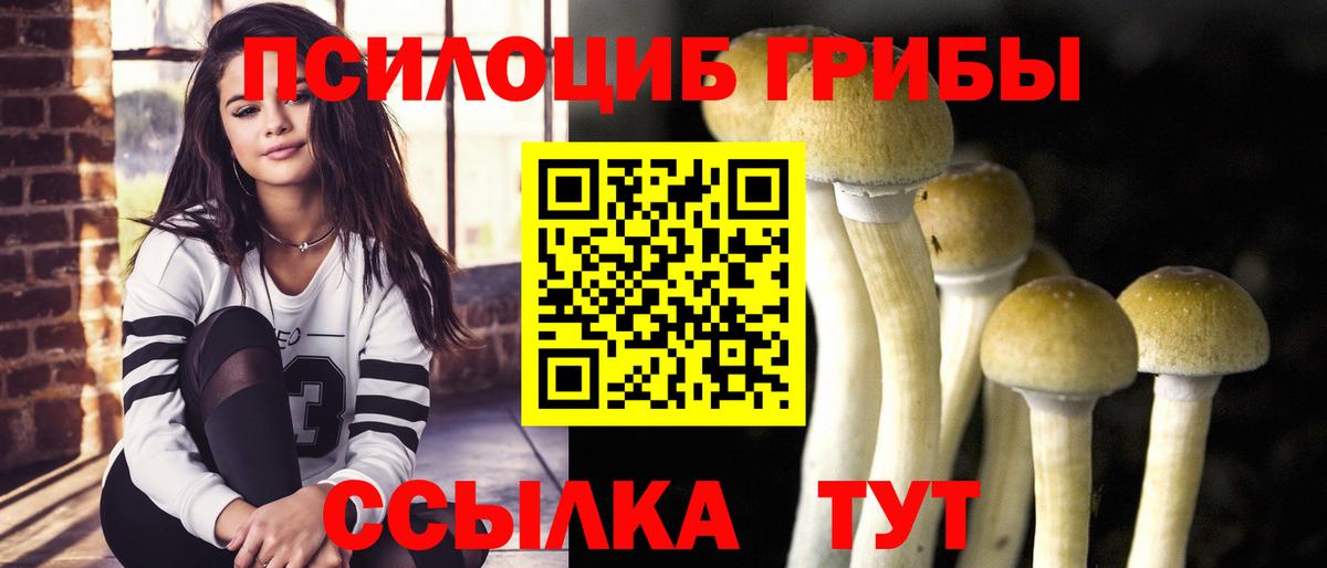 Псилоцибиновые грибы Magic Shrooms  Вход с VPN  где можно купить наркотик  Ипатово 